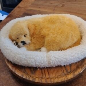 Pet Nap plush sleeping puppy.
